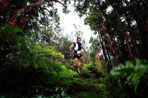 BIB: 
                            <button type="button" onclick="openModal(26201076)" class="btn btn-primary btn-sm float-right btn-popup" data-toggle="modal" data-target=".modal-high-quality">
                        <i class="fas fa-shopping-cart"></i> Add to Cart
                    </button>
                                            <button type="button" onclick="isThisMe(26201076, true)" class="btn btn-success btn-sm float-right btn-popup btn-isme hidden" data-toggle="tooltip" data-placement="bottom" title="นี่คือรูปของคุณใช่ไหม คลิกที่นี่เพื่อเอาเข้าอัลบั้ม">
                        <i class="fas fa-plus"></i> Add to album
                    </button>
                    <button type="button" onclick="isThisMe(26201076, false)" class="btn btn-warning btn-sm float-right btn-popup btn-isnotme hidden">
                        <i class="fas fa-ban"></i> Remove from album
                    </button>